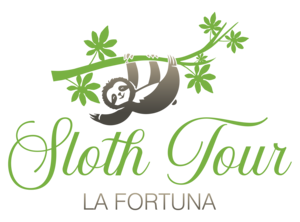 Sloth Tour La Fortuna Arenal Vocano Sloth Tour | Sloth Tour La Fortuna Sloth Tour La Fortuna Arenal Vocano Sloth Tour