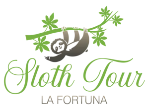 Sloth Tour La Fortuna